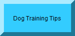 dog training tips